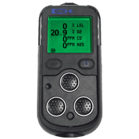 Detcon Portable Gas Detector, PS200